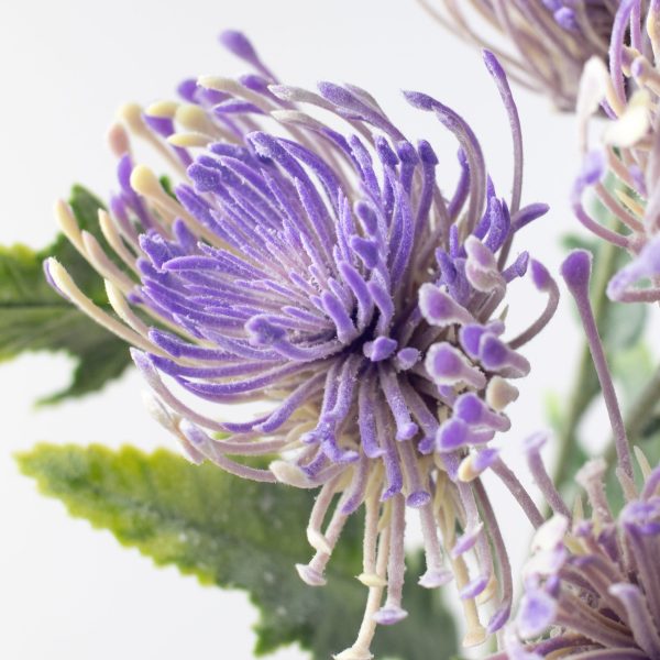 15  Thistle Floral Bouquet: Lavender on Sale