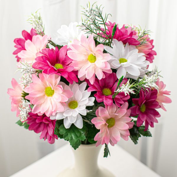 17  Colorfast Daisy Mix Bush: Fuchsia & Pink Online now