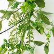 5  Leaves & Fern Garland on Sale