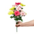 18  Gerbera Daisy Bush: Hot Pink & Lime Fashion