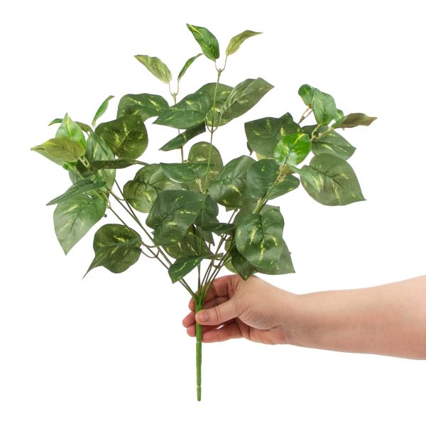 16  Pothos Leaves Bush Supply