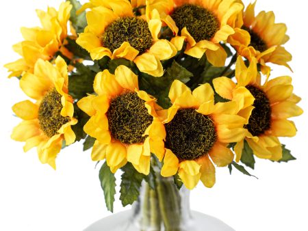 8  Sunflower Stem Bundle (12) Discount