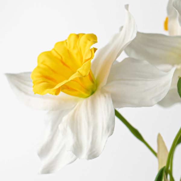 18  Daffodil Spray For Discount