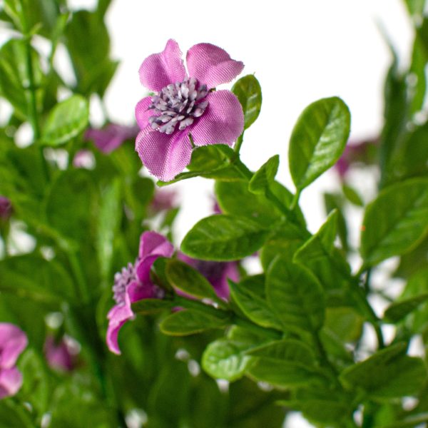 17  Small Flower Filler Bush: Purple For Sale