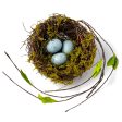 5  Moss Nest with Blue Eggs Online Sale