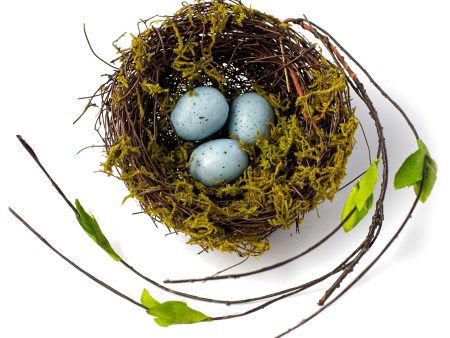 5  Moss Nest with Blue Eggs Online Sale