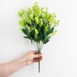 19  Colorfast Double Baby s Breath: Green Online now