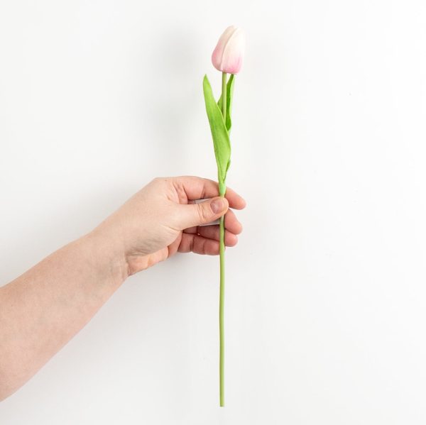 15  Foamy Tulip Bud Stem: Light Pink For Sale