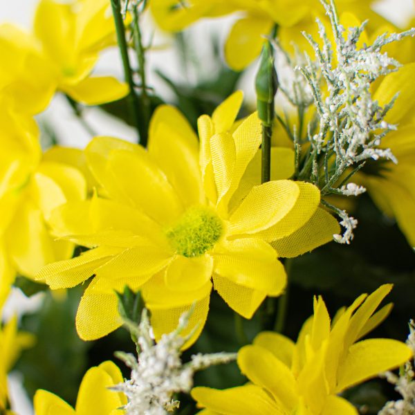 17  Colorfast Daisy Mix Bush: Yellow Online