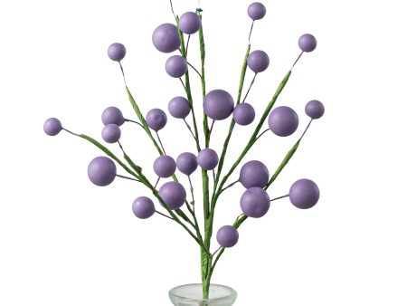 10  Mixed Berry Pick: Lavender Online Sale