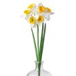 18  Daffodil Spray For Discount