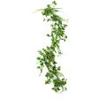 5  Leaves & Fern Garland on Sale