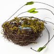 5  Moss Nest with Blue Eggs Online Sale