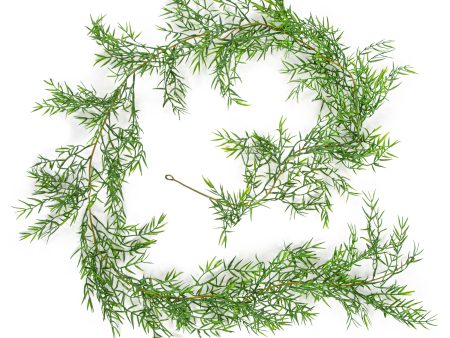 6  Dill Leaf Garland For Sale