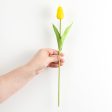 15  Foamy Tulip Bud Stem: Yellow Fashion