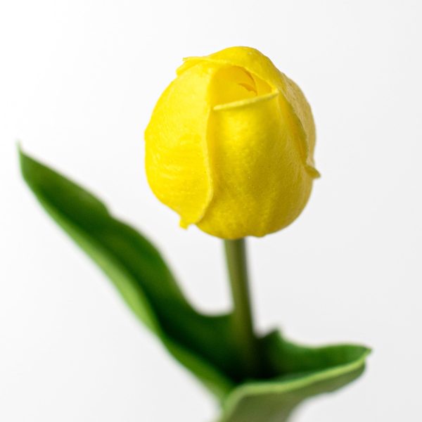 15  Foamy Tulip Bud Stem: Yellow Fashion