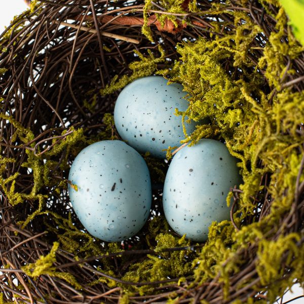 5  Moss Nest with Blue Eggs Online Sale