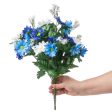 17  Colorfast Daisy Mix Bush: Blue & White Online now