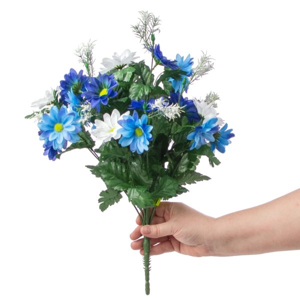 17  Colorfast Daisy Mix Bush: Blue & White Online now