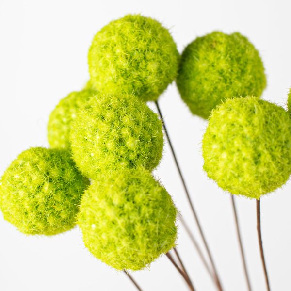 16  Billy Ball Bunch: Fresh Green on Sale