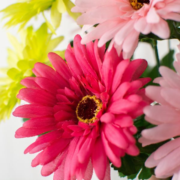 18  Gerbera Daisy Bush: Hot Pink & Lime Fashion