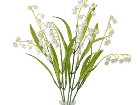 15  Lily of the Valley Bush Online Hot Sale