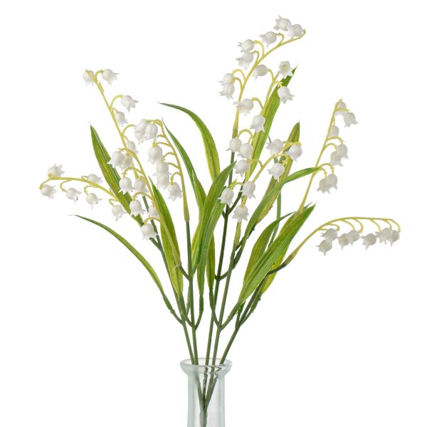 15  Lily of the Valley Bush Online Hot Sale