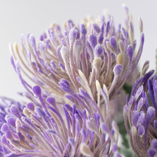 15  Thistle Floral Bouquet: Lavender on Sale