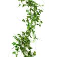 5  Leaves & Fern Garland on Sale