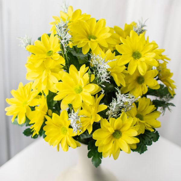 17  Colorfast Daisy Mix Bush: Yellow Online