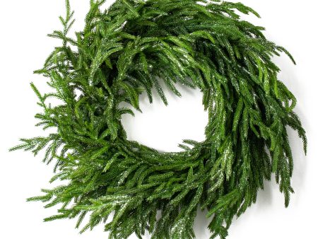 24  Frosted Fir Pine Wreath on Sale