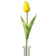 15  Foamy Tulip Bud Stem: Yellow Fashion