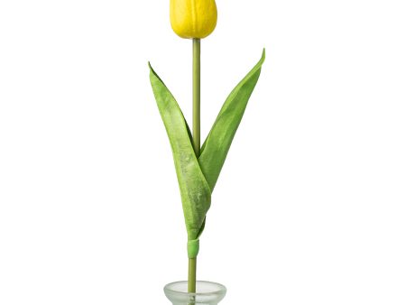 15  Foamy Tulip Bud Stem: Yellow Fashion