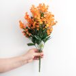 19  Colorfast Double Baby s Breath: Orange Online Sale