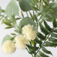 18  Fern, Eucalyptus, Pom Pom Pick: Cream Online