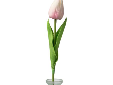 15  Foamy Tulip Bud Stem: Light Pink For Sale