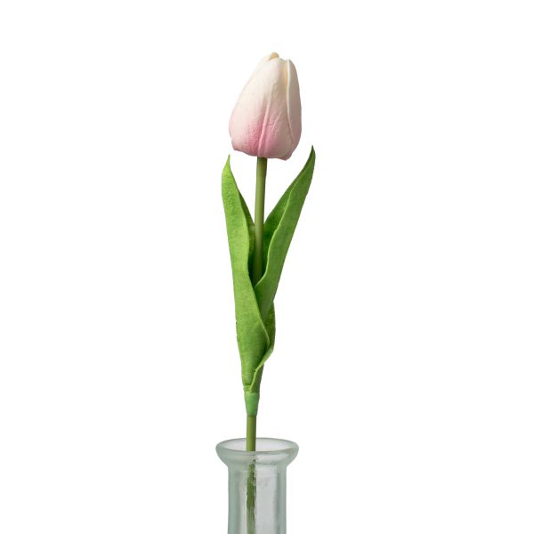 15  Foamy Tulip Bud Stem: Light Pink For Sale