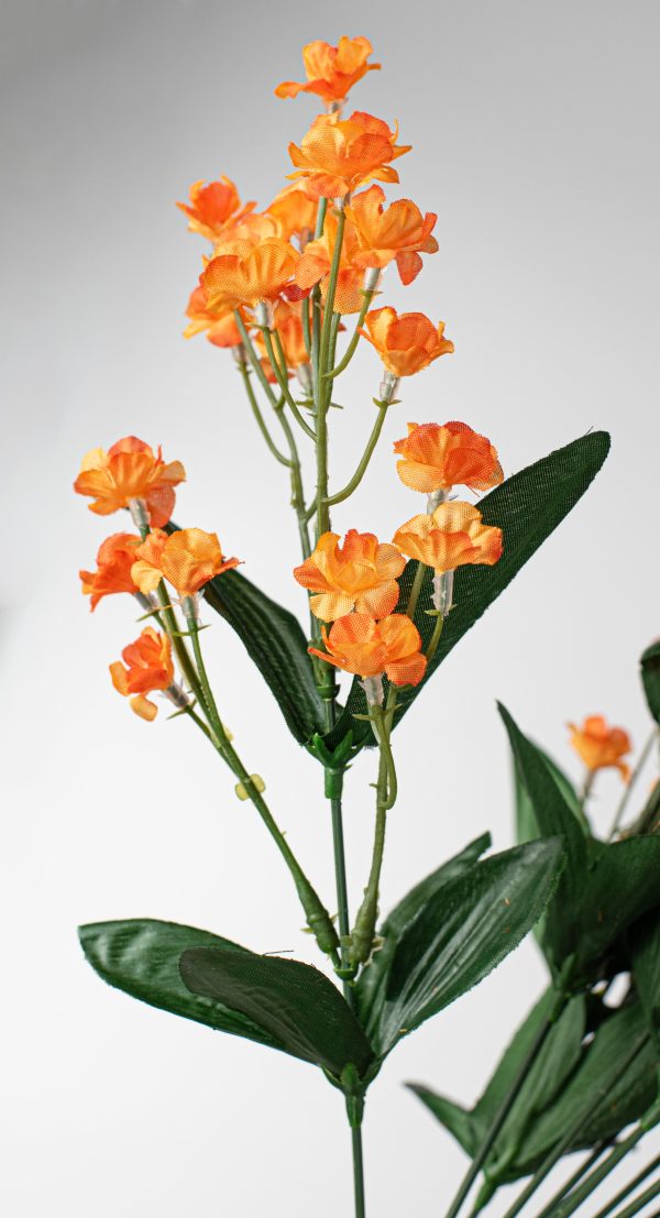 19  Colorfast Double Baby s Breath: Orange Online Sale