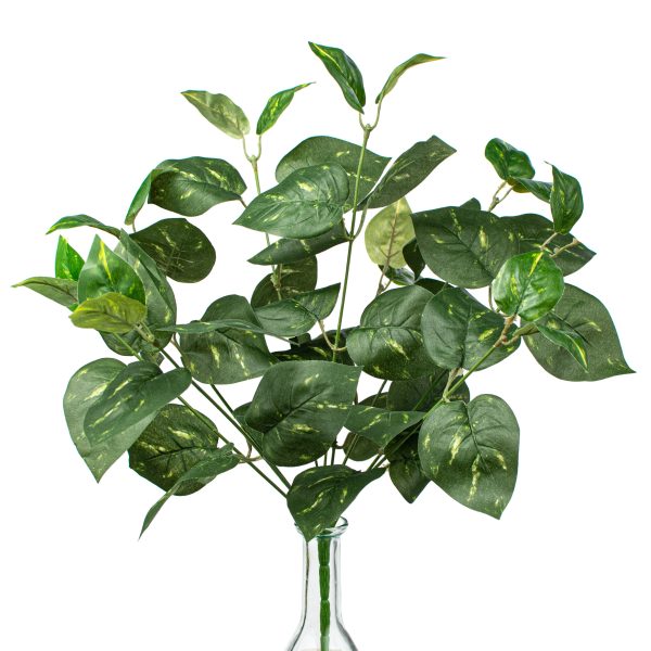 16  Pothos Leaves Bush Supply