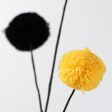 23  2-Color Pom Pom Spray: Yellow & Black For Cheap