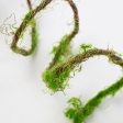 79  Moss Vine Garland Streamer Fashion