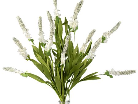 23  Blooming Hyacinth Flower Bush: Cream For Discount