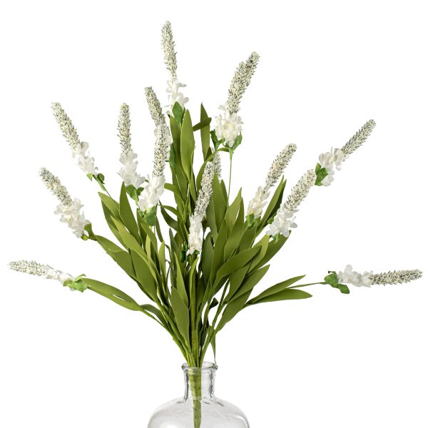 23  Blooming Hyacinth Flower Bush: Cream For Discount