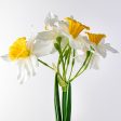 18  Daffodil Spray For Discount