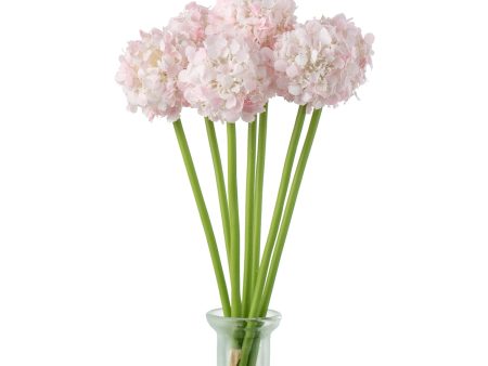 11  Flower Ball Stem Bundle: Pink For Sale