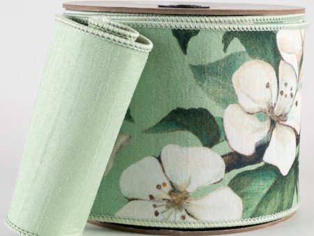 [D Stevens] 4  Dupioni Apple Blossom Ribbon: Cream & Mint Green (10 Yards) on Sale