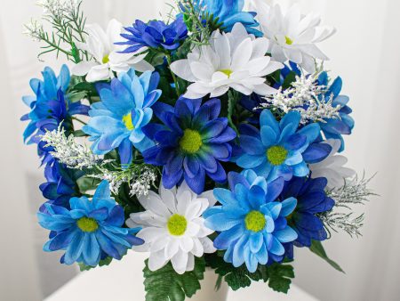 17  Colorfast Daisy Mix Bush: Blue & White Online now