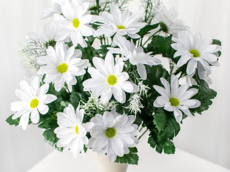 17  Colorfast Daisy Mix Bush: White Supply