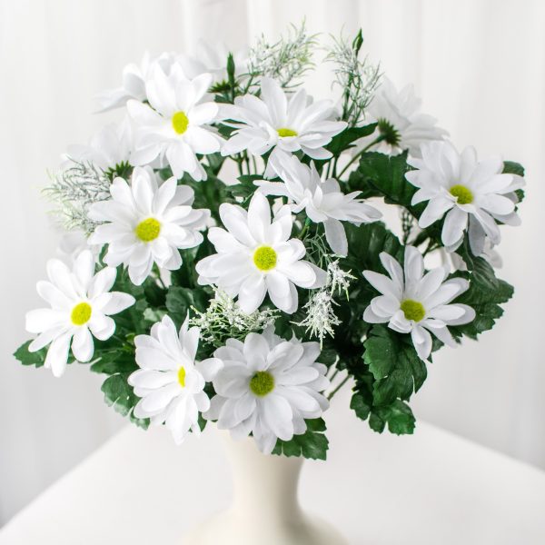 17  Colorfast Daisy Mix Bush: White Supply