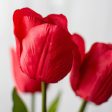 17  Tulips Bush: Red For Cheap